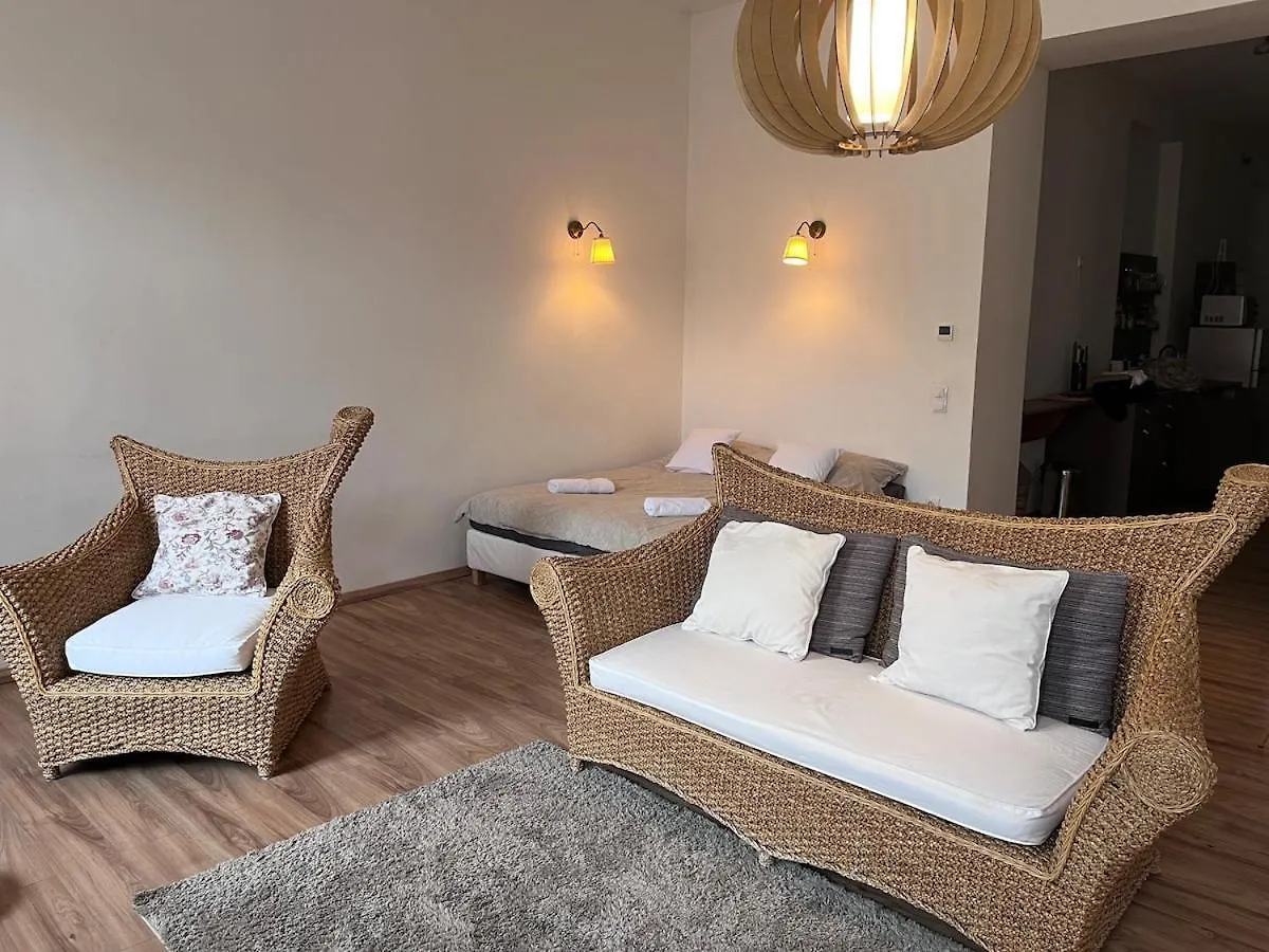 Budapest City Apartment