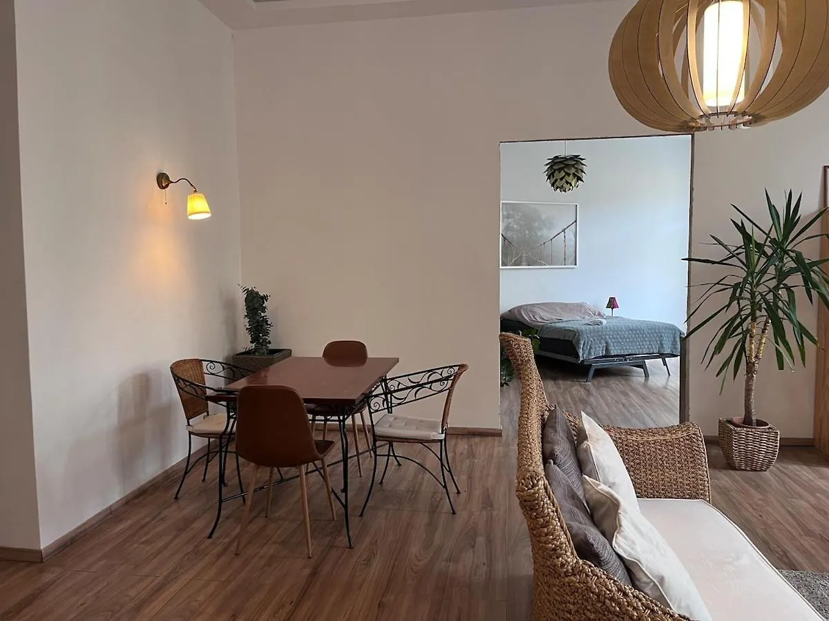 Budapest City Apartment